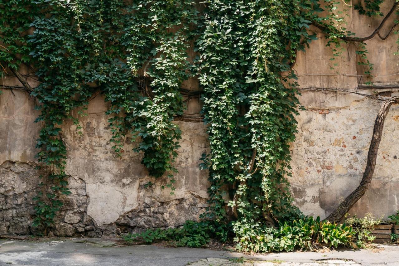 Cosy Apartment - Loftaffair Krakow Bagian luar foto